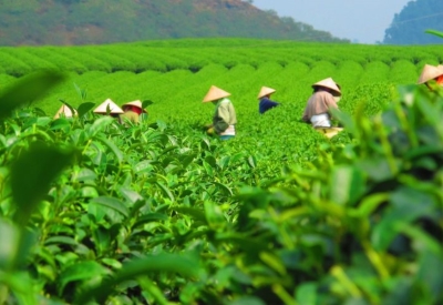 Thêm 5 nhóm dữ liệu trồng trọt được sử dụng thay thế hồ sơ giấy