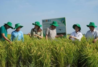 AgriConnect: Kết nối nguồn vốn với chuỗi giá trị nông nghiệp