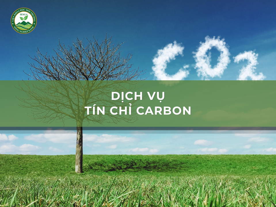 Tín chỉ Carbon