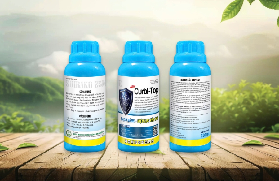 Curbi Top