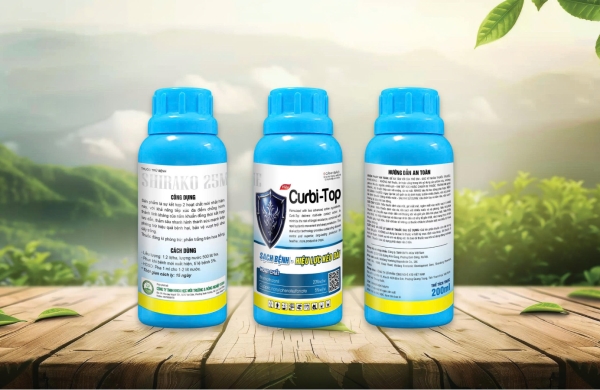 Curbi Top