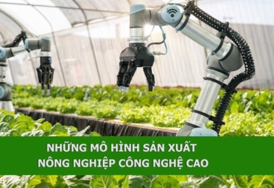Kết nối các khu ứng dụng công nghệ cao nông nghiệp thúc đẩy khởi nghiệp sáng tạo và phát triển bền vững